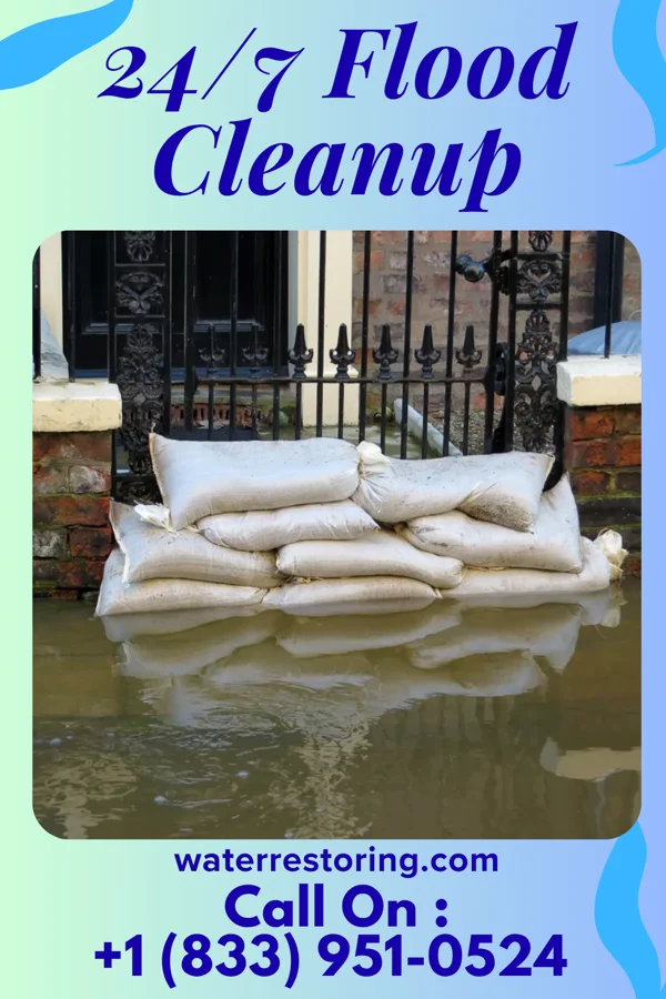 24/7 Flood Cleanup in Nora, IL