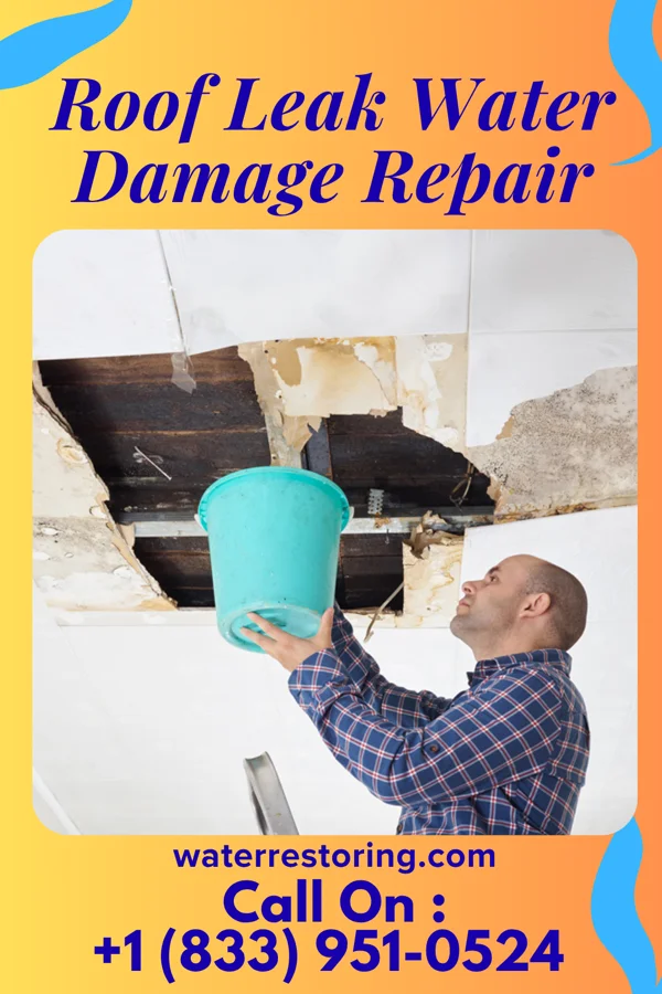 Roof Leak Water Damage Repair in Nora, IL
